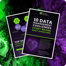10 Data Management Challenges Brands Must Overcome | Retail Velocity
